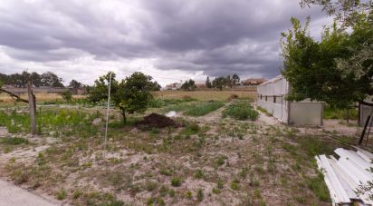 Terrain à Monte Redondo e Carreira de 3 570 m²
