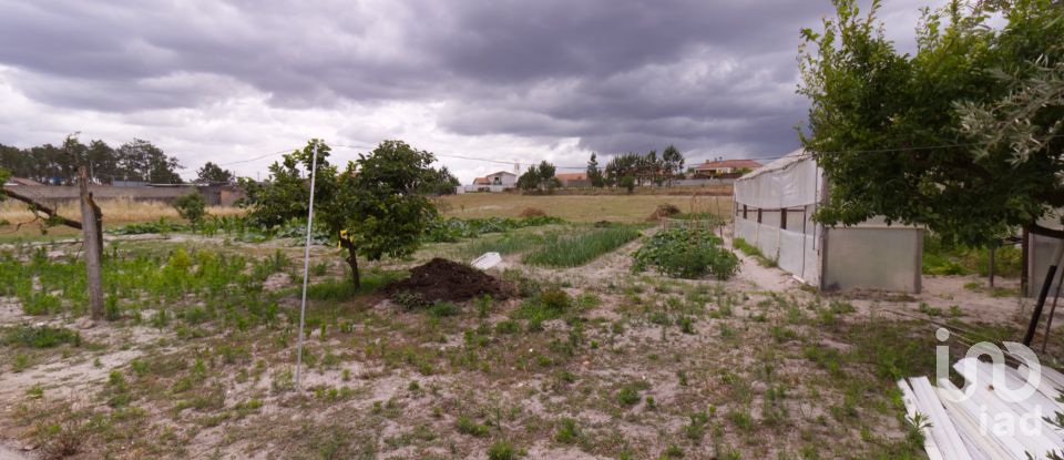 Terreno em Monte Redondo e Carreira de 3 570 m²