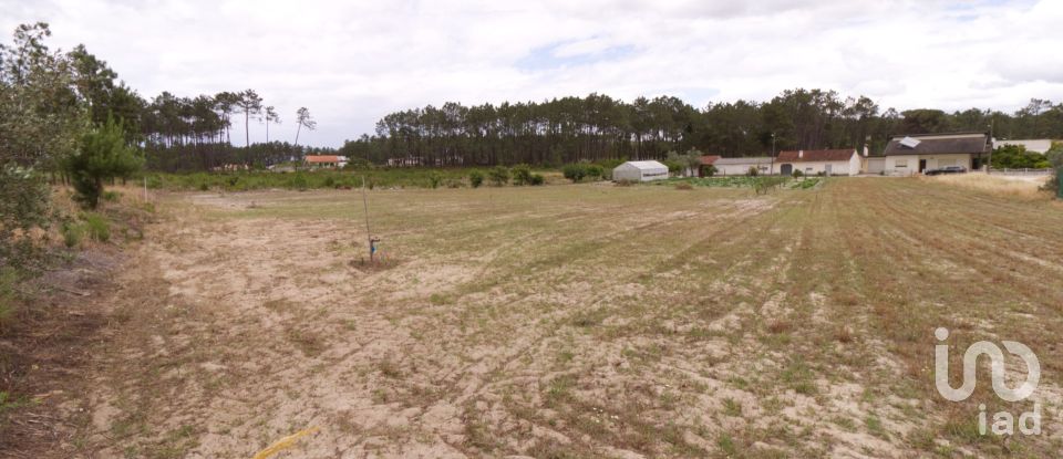 Terrain à Monte Redondo e Carreira de 3 570 m²