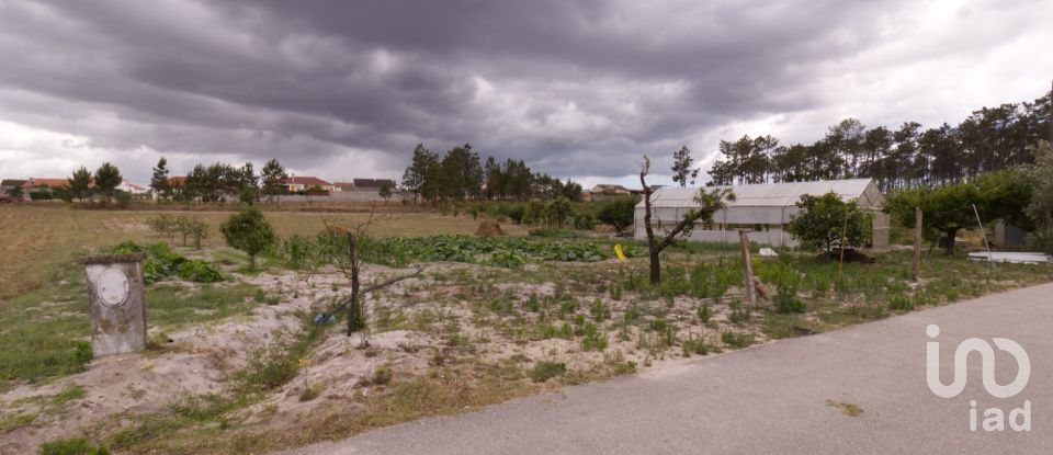 Terrain à Monte Redondo e Carreira de 3 570 m²