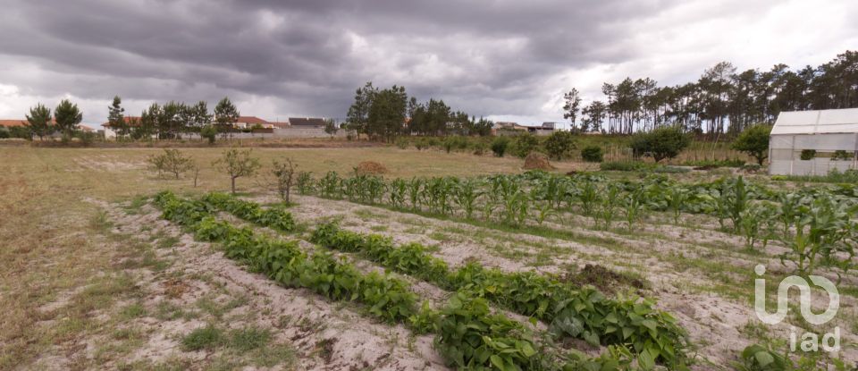 Terrain à Monte Redondo e Carreira de 3 570 m²