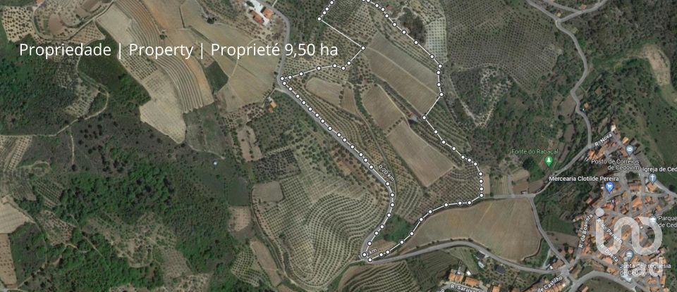 Terrain à Cedovim de 150 000 m²