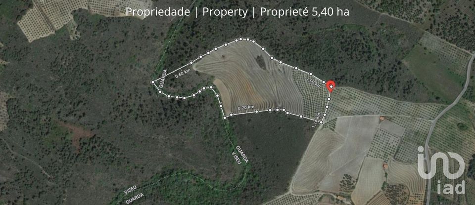 Terreno em Cedovim de 150 000 m²