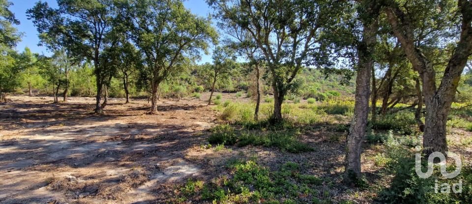 Terreno urbano em Fernão Ferro de 146 179 m²