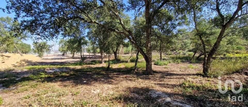 Terreno urbano em Fernão Ferro de 146 179 m²