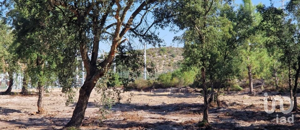 Terreno urbano em Fernão Ferro de 146 179 m²
