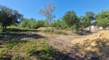 Terrain à bâtir à Fernão Ferro de 146 179 m²