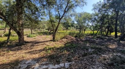 Terrain à bâtir à Fernão Ferro de 146 179 m²