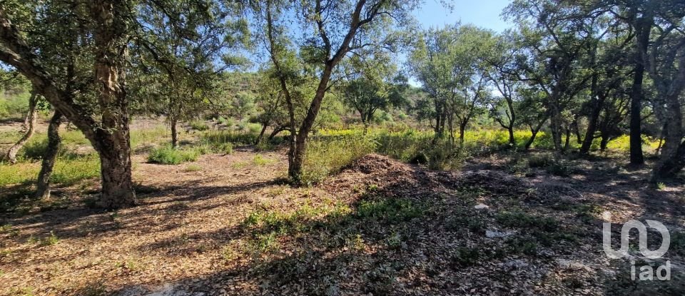 Terreno urbano em Fernão Ferro de 146 179 m²