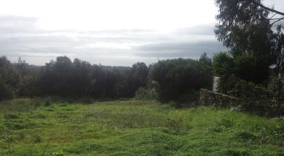 Land in Alcabideche of 3,400 m²