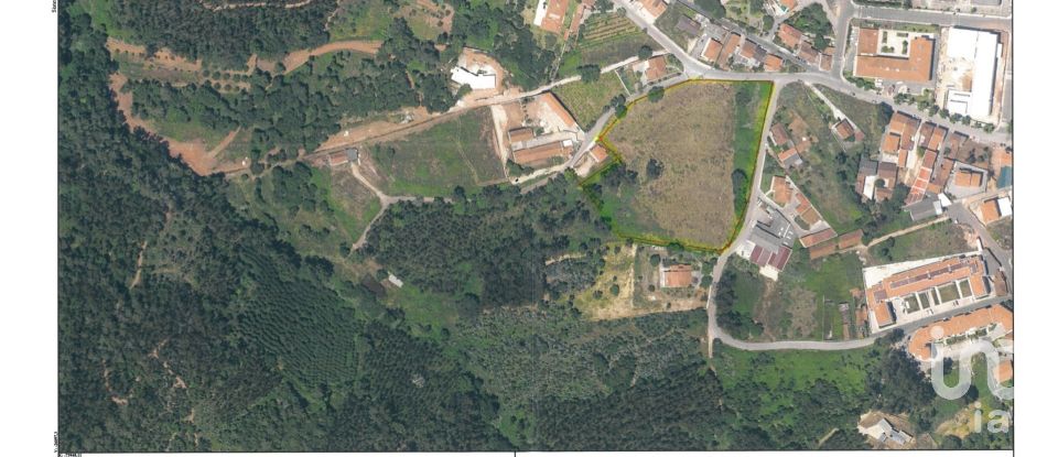 Land in Benedita of 16,098 m²