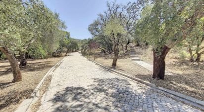 Farm T3 in Santa Catarina da Fonte do Bispo of 171 m²