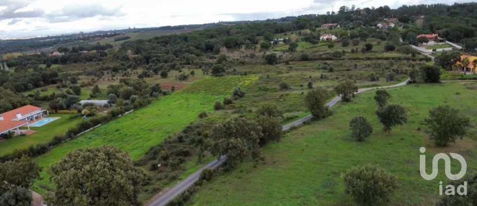 Land in Almoster of 20,000 m²