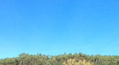 Terrain à Vilar de 675 m²