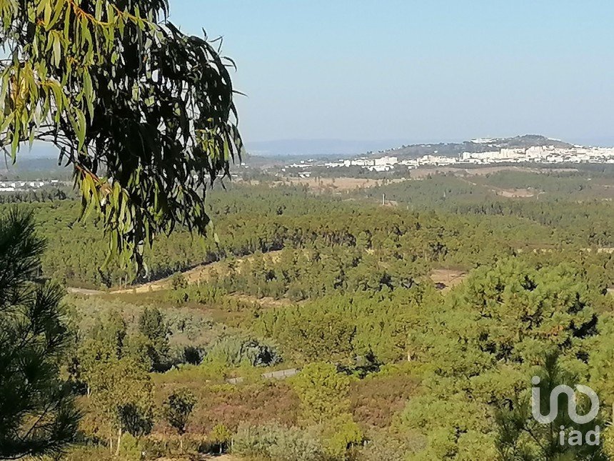 Land in Cebolais de Cima e Retaxo of 9,500 m²