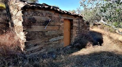 Terrain à Cebolais de Cima e Retaxo de 9 500 m²