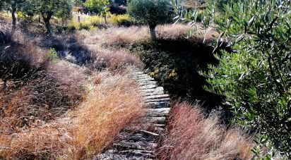 Terrain à Cebolais de Cima e Retaxo de 9 500 m²