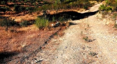 Terrain à Cebolais de Cima e Retaxo de 9 500 m²