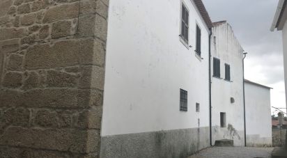 Ferme T5 à Tinalhas de 32 625 m²