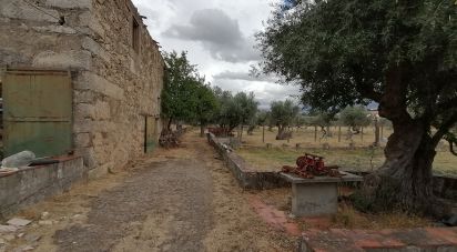 Ferme T5 à Tinalhas de 32 625 m²