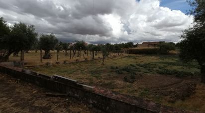 Ferme T5 à Tinalhas de 32 625 m²