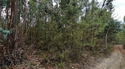 Terrain à Sarzedas de 15 000 m²