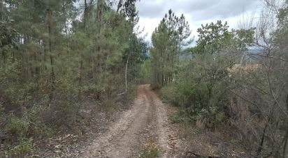 Terrain à Sarzedas de 15 000 m²