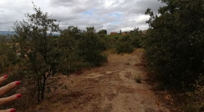 Terrain à Sarzedas de 15 000 m²