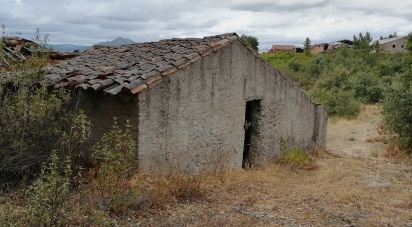 Terrain à Sarzedas de 15 000 m²