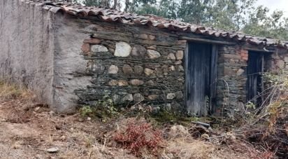 Terrain à Sarzedas de 15 000 m²