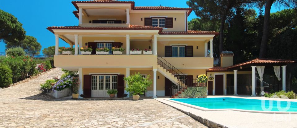 Casa / Villa T5 em São Pedro de Tomar de 454 m²