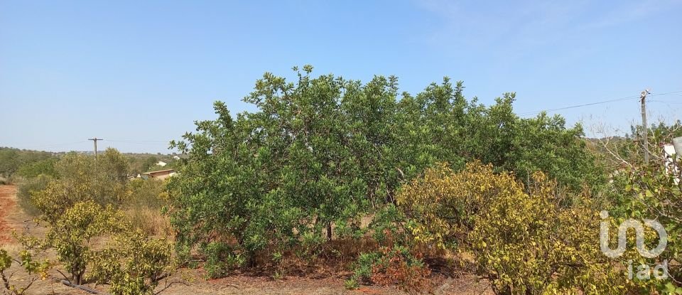 Maison traditionnelle T2 à Loulé (São Sebastião) de 110 m²