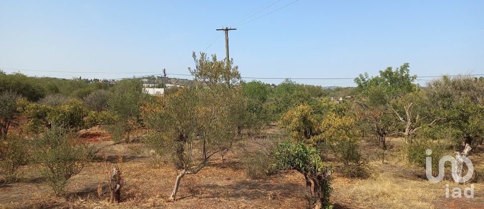 Maison traditionnelle T2 à Loulé (São Sebastião) de 110 m²