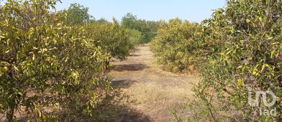 Maison traditionnelle T2 à Loulé (São Sebastião) de 110 m²