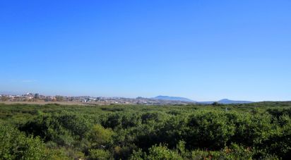 Land in Colares of 2,160 m²
