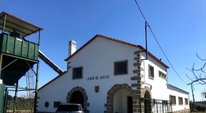 Murs commerciaux à Freixial e Juncal do Campo de 263 m²