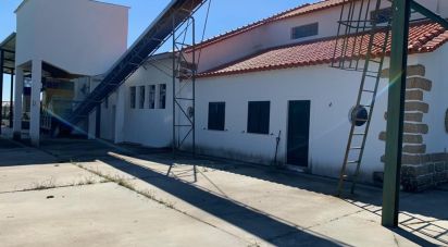 Murs commerciaux à Freixial e Juncal do Campo de 263 m²