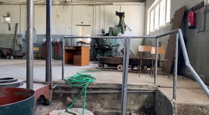 Murs commerciaux à Freixial e Juncal do Campo de 263 m²