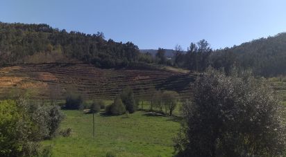 Country home T0 in Arganil of 280 m²