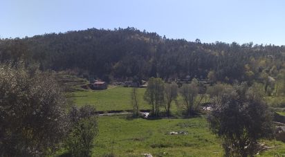 Country home T0 in Arganil of 280 m²