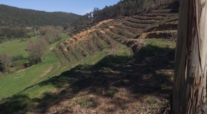 Maison rustique T0 à Arganil de 280 m²