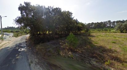 Building land in Monte Real e Carvide of 1,000 m²