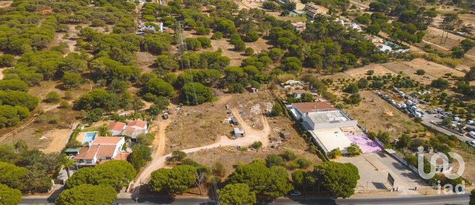 Land in Quarteira of 10,000 m²