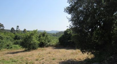 Land in Condeixa-a-Velha e Condeixa-a-Nova of 52,000 m²