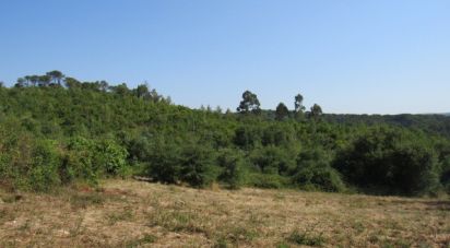 Land in Condeixa-a-Velha e Condeixa-a-Nova of 52,000 m²