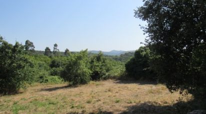 Land in Condeixa-a-Velha e Condeixa-a-Nova of 52,000 m²