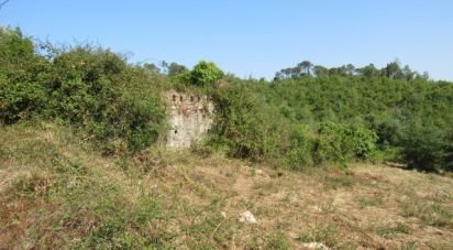 Land in Condeixa-a-Velha e Condeixa-a-Nova of 52,000 m²