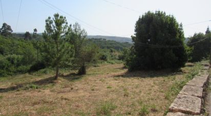 Land in Condeixa-a-Velha e Condeixa-a-Nova of 52,000 m²