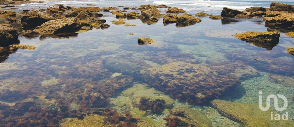 Moradia T2 em Sesimbra (Castelo) de 224 m²