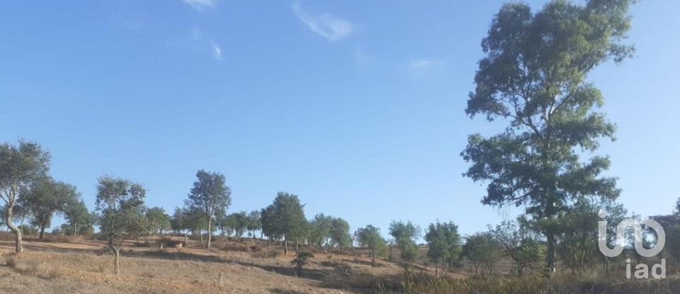 Agricultural land in Mértola of 230,000 m²